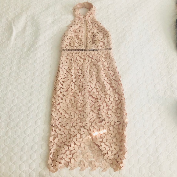 Gemma Halter Midi Lace Sheath Dress by BARDOT - Picture 4 of 8